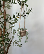 Mini Crochet Hanging Plant – Handmade Boho Décor